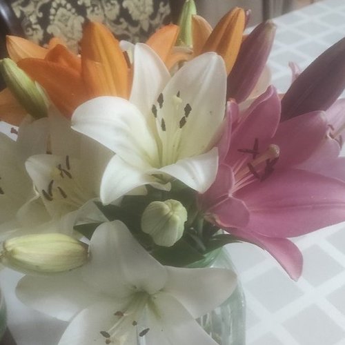 Мария, 9 декабря 2025