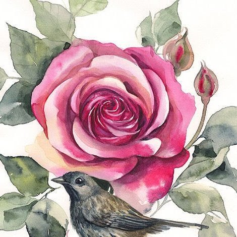 Елена, 11 ноября 2024