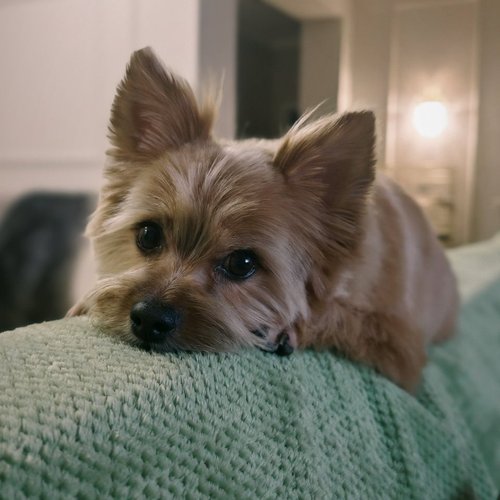 Светлана, 14 марта 2026