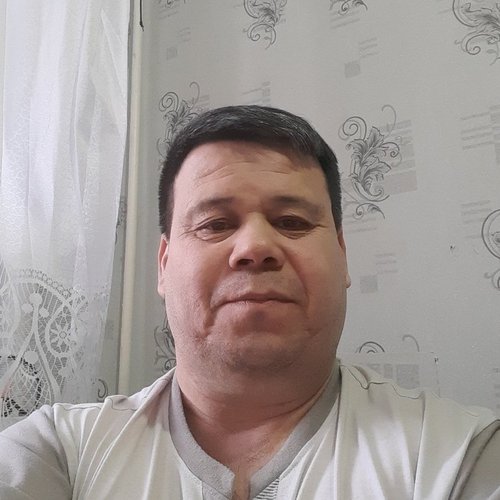 alim75